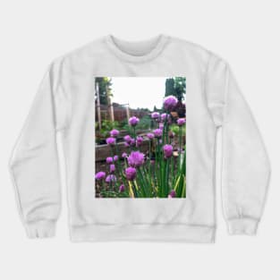 Fresh edible chive blossoms Crewneck Sweatshirt